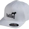 PoolDawg Logo White Baseball Hat -Professional Billiards Equipment Store dawgcapwht 01 2